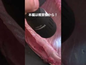 釣りビジョンに出たよ❗️ （衝撃映像）vol.570