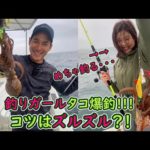 【明石 タコ釣り⑥】釣りガールタコを爆釣する!!!釣り方はシェイクよりズルズル？！