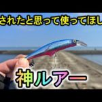 青物の喰いつき方が異常…誰でも釣れる最強の小型ミノーがこちら。【新潟遠征３】