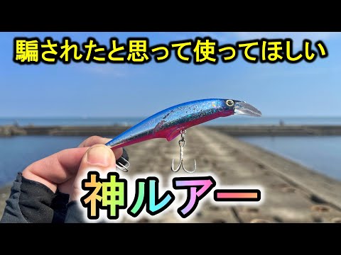 青物の喰いつき方が異常…誰でも釣れる最強の小型ミノーがこちら。【新潟遠征３】