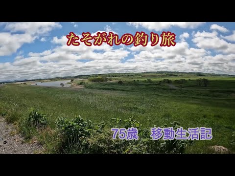 天塩イトウ釣りをたしなむ・北の大河に立つ