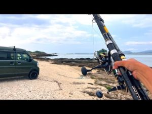 2年寝かせた砂浜なら釣れるんじゃない？でぶっ込み釣りした結果…