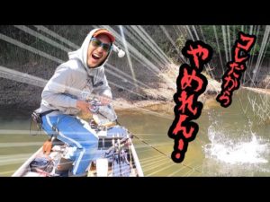 バス釣りで水面爆発させろ！！トップウォーターバスフィッシング