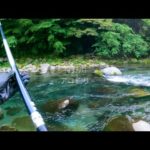 解禁３日後の狩野川でちょこっと鮎釣り【2023】