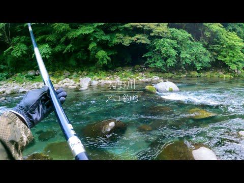 解禁3日後の狩野川でちょこっと鮎釣り【2023】