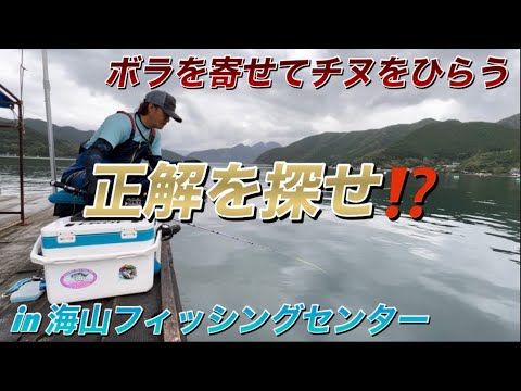 ♯59 夏至の矢口浦で筏釣り‪🎣‬ in 海山フィッシングセンター