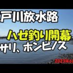 江戸川放水路潮干狩り&ハゼ釣り（2023年6月4日）
