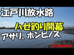 江戸川放水路潮干狩り&ハゼ釣り(2023年6月4日)