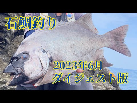 【石鯛釣り】クエも。いろんな場所で釣って来た。