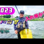 2023 鮎釣り 黒川鮎釣り解禁 入れ掛かり！