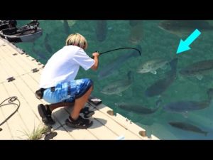 【衝撃映像】釣り禁止の場所で特別に釣りしたらブラックバスの楽園だった…【池原ダム】