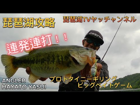 【バス釣り】琵琶湖攻略！プロトタイニーギリング＆ビッグベイトを使ってGOODサイズ連発！
