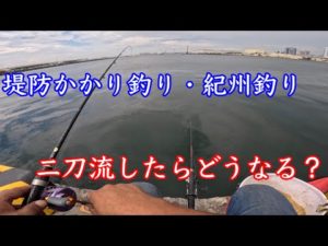 堤防かかり釣りと紀州釣りどっちが釣れるか選手権【チヌ釣り】