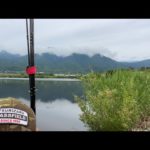 琵琶湖バス釣りライブR5-6/25