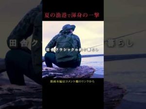 漁港で強烈な一尾現る… #漁港 #北海道釣り #ルアー