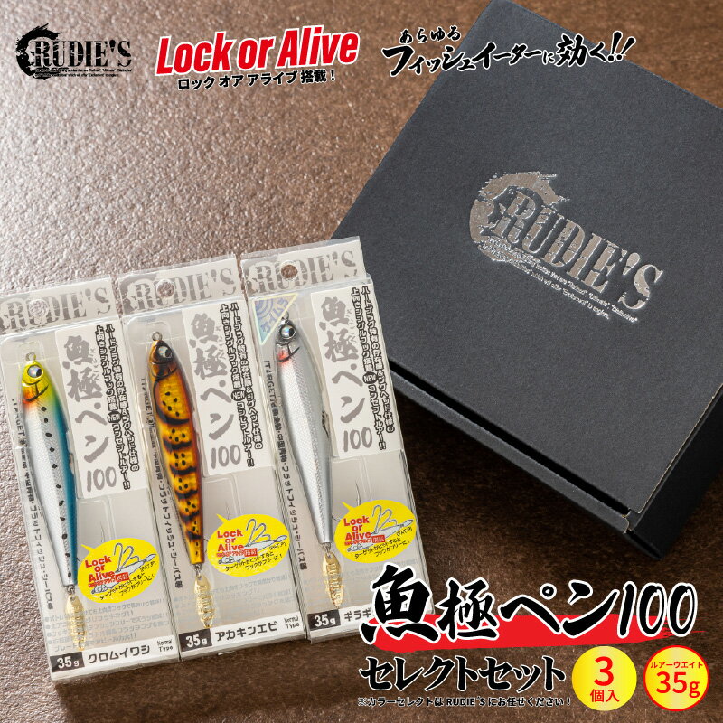 【ふるさと納税】TSURI HACKにて紹介！ 魚極ペン 35g セレクト 3セット 限定 ギフト アウトドア キャンプ フィッシング 釣り 釣具 ルアー ルーディーズ RUDIE'S ロックフィッシュ フラットフィッシュ シーバス キジハタ 【A2-050】