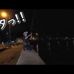 投げ釣りの合間にエギングしてみた