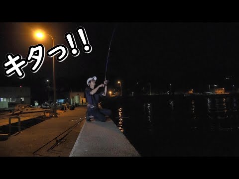 投げ釣りの合間にエギングしてみた