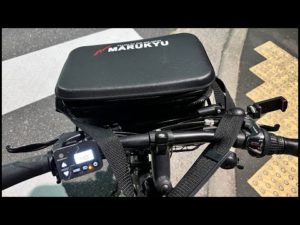 ハゼほたて使って、ちょっとだけハゼ釣り生放送です🎣