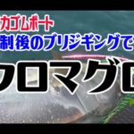 【北海道釣り】【クロマグロ】規制後のブリジギングでクロマグロバトル