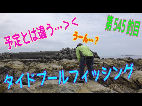 釣り動画ロマンを求めて545釣目