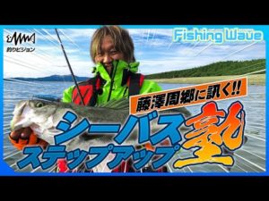 シーバス界のスペシャリスト藤澤周郷に訊く!シーバスステップアップ塾【FishingWave】