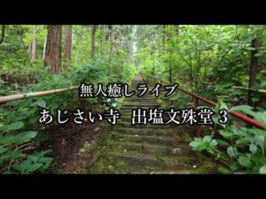 無人癒しライブ あじさい寺出塩文殊堂 hydrangea temple #あじさい寺 3 #出塩文殊堂 #アジサイ