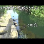 この穴にミミズを落としたら凄かった