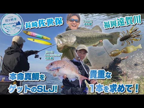 【釣り時季】貴重な1本!in遠賀川＆本命マダイをGETのSLJin長崎