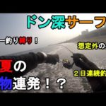 【神奈川県某所】ドン深サーフで初夏の青物連発！？梅雨入りした関東地方の相模湾に面している潮流が速く水深のある砂浜の釣り場で、ジグサビキと弓角のルアー釣りで2日間釣りしてみたら…！【2023年6月下旬】