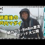 BinBinナカジー 中島成典×産卵直後の瀬戸内  鯛カブラ・BinBin激流メソッド大公開！『BinBinソルト 31』イントロver【釣りビジョン】その①