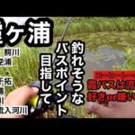 7月夏のバス釣り霞ヶ浦釣行ポイントガイド2023年7月3日