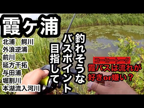 7月夏のバス釣り霞ヶ浦釣行ポイントガイド2023年7月3日
