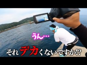 またしても同じ堤防で…