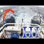 1泊2日で挑むカジキ釣りリベンジ！【ゲルマ島カジキ釣りリベンジ＃1】