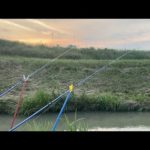 【うなぎ釣り】初夏の小川でうなぎ釣り　Eel fishing of June