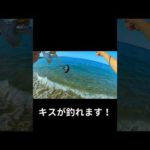 キス釣りでよくあること。　#shorts #キス釣り #あるある