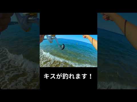 キス釣りでよくあること。　#shorts #キス釣り #あるある
