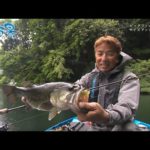 【釣り百景】#493 四国のリザーバーで挑む！愛媛県金砂湖のビックバス