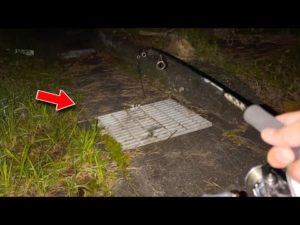 【穴釣り】近所の側溝で釣りしたらヤバすぎた