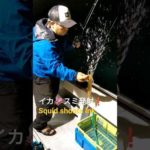 船釣り #8 (京都 日本海) YOASOBI「夜に駆ける♪」