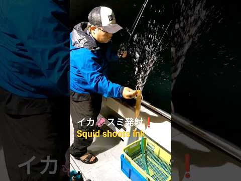船釣り #8 (京都 日本海) YOASOBI「夜に駆ける♪」