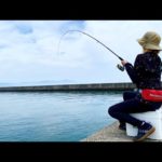 気温33度の堤防でも足元で釣れる最高に美味しい魚