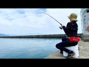 気温33度の堤防でも足元で釣れる最高に美味しい魚