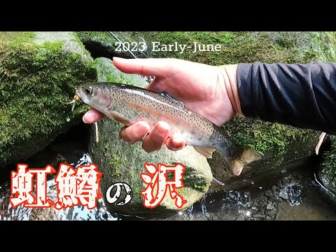 【釣り】ニジマスの渓 再調査😃順調に育ってる模様
