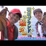 明石ブランドの船タコ　美味しいタコを釣りましょう！（四季の釣り/2023年6月2日放送）