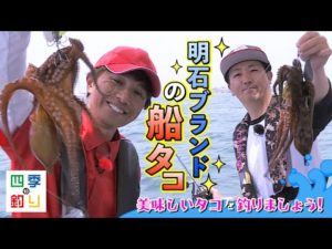 明石ブランドの船タコ　美味しいタコを釣りましょう！（四季の釣り/2023年6月2日放送）