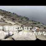 2023年6月東京湾河口ハゼ釣り