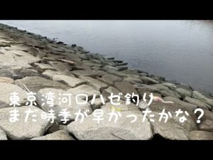 2023年6月東京湾河口ハゼ釣り