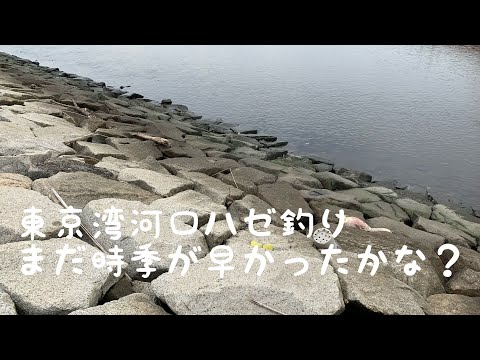 2023年6月東京湾河口ハゼ釣り